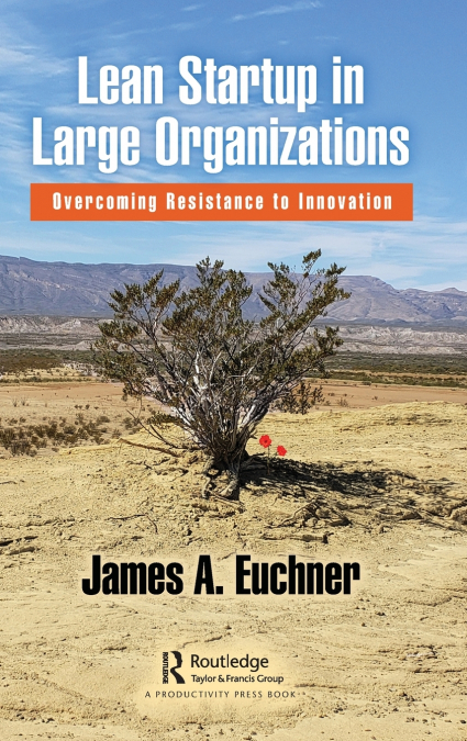 Lean Startup in Large Organizations