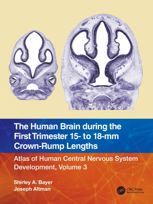 The Human Brain during the First Trimester 15- to 18-mm Crown-Rump Lengths