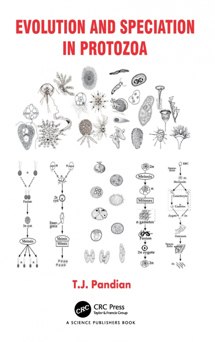 Evolution and Speciation in Protozoa