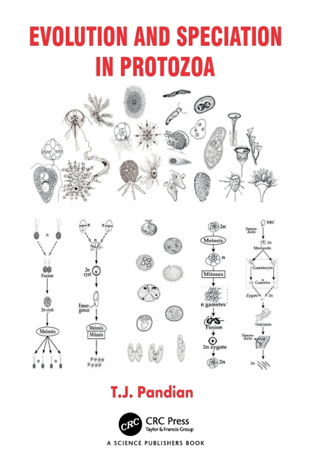 Evolution and Speciation in Protozoa