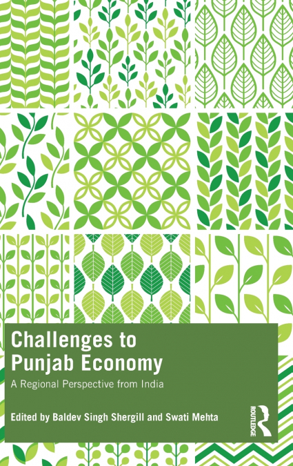 Challenges to Punjab Economy