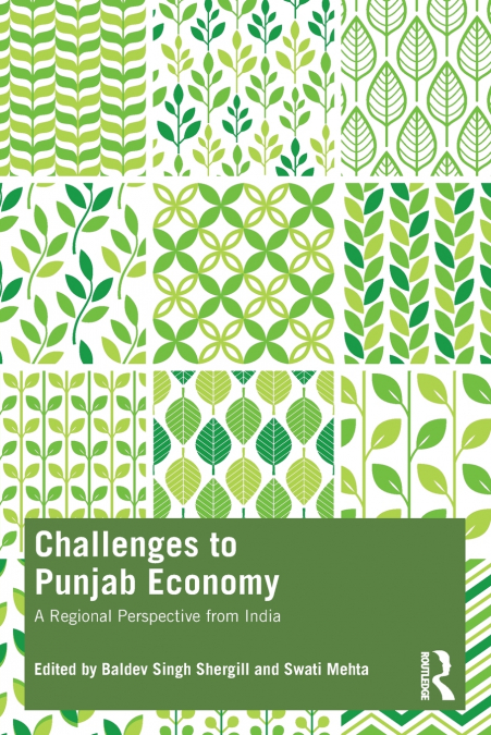 Challenges to Punjab Economy