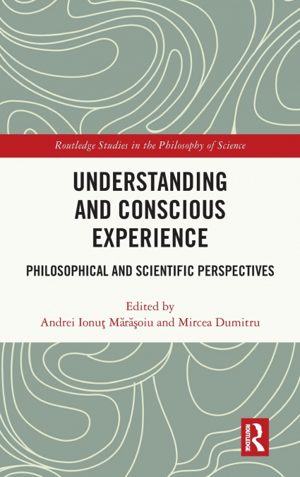 Understanding and Conscious Experience
