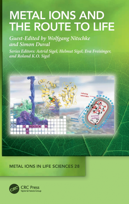 Metal Ions and the Route to Life