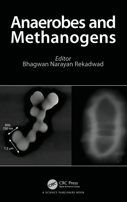 Anaerobes and Methanogens