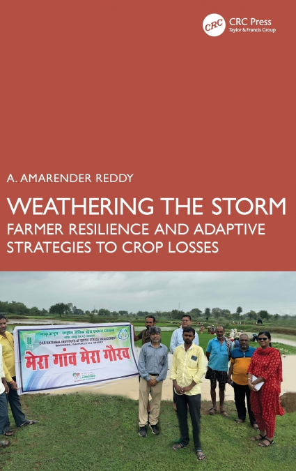 Weathering the Storm