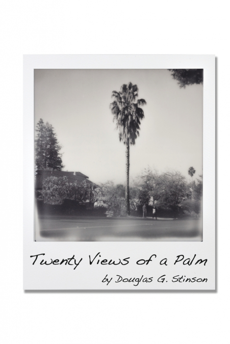 Twenty Views of a Palm