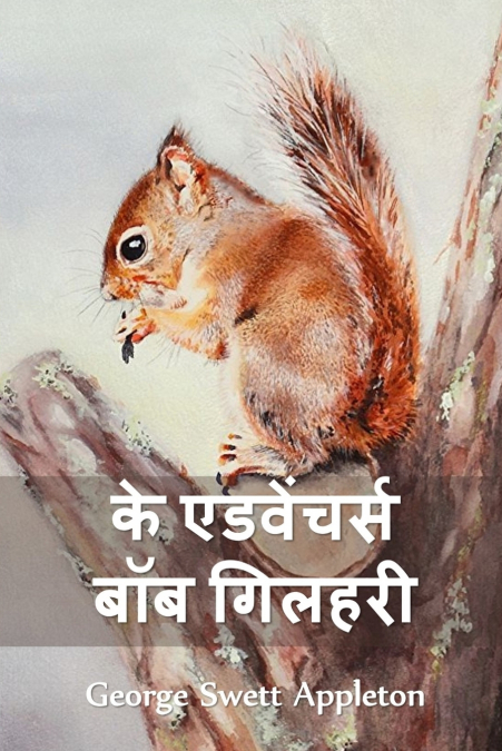 द ट्रैवल्स एंड एक्सट्राऑर्डिनरी एडवेंचर्स ऑफ बॉब द स्क्विरल