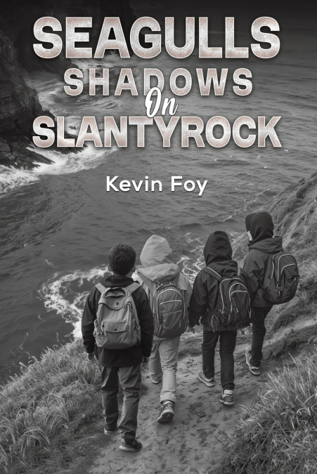 Seagulls Shadows on Slantyrock