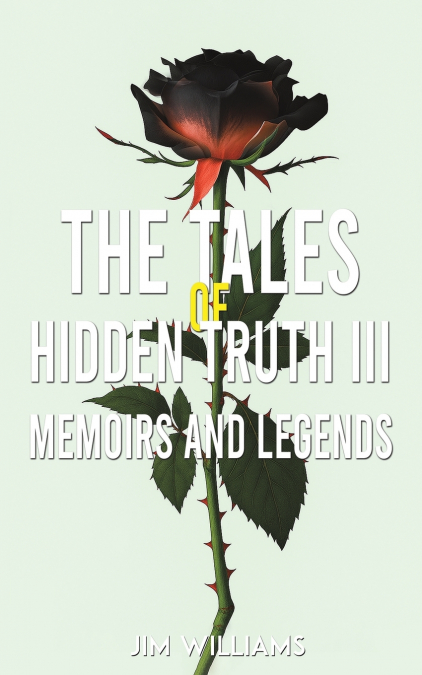 The Tales of Hidden Truth III