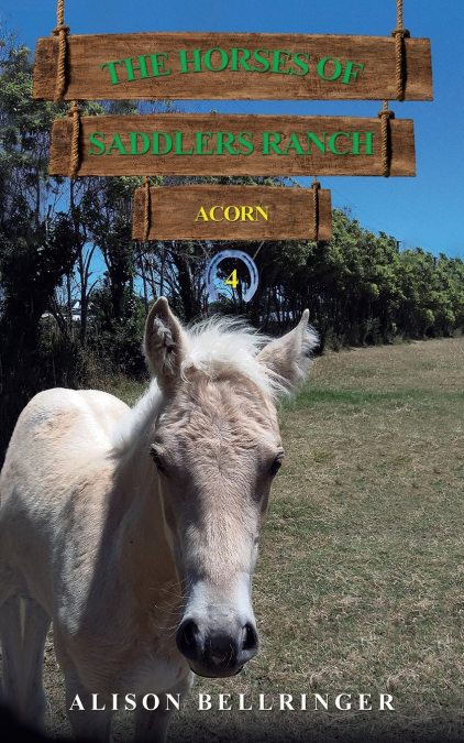 The Horses of Saddlers Ranch