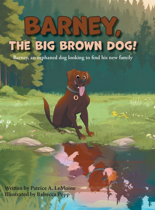 Barney, The Big Brown Dog!