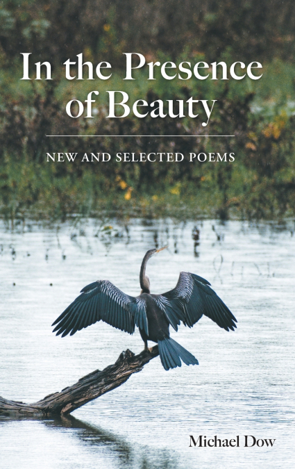 In the Presence of Beauty