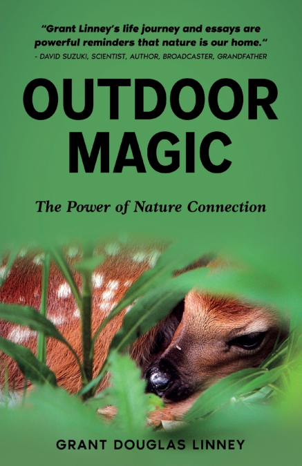 Outdoor Magic