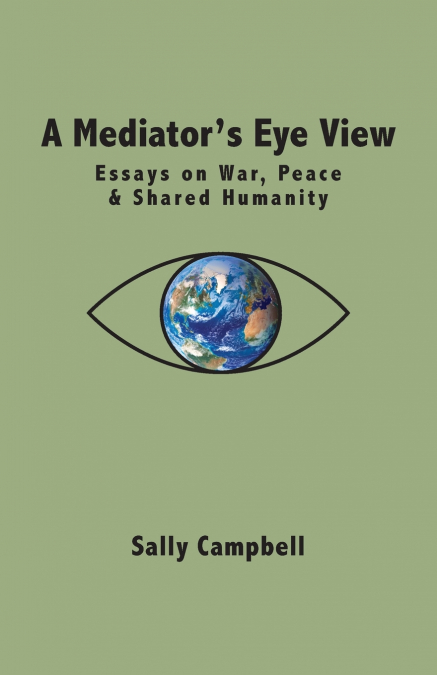 A Mediator’s Eye View