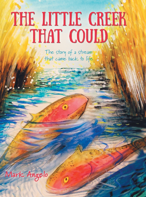 The Little Creek That Could