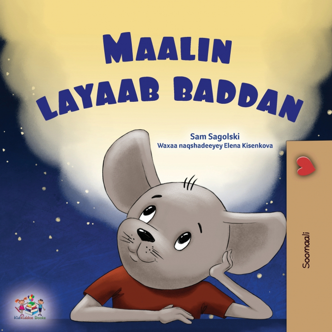 A Wonderful Day (Somali Children’s Book)