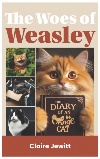 The Woes of Weasley