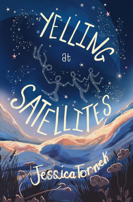 Yelling at Satellites