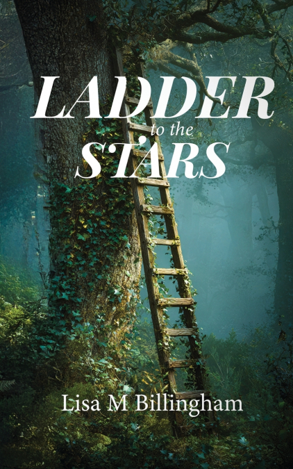 Ladder to the Stars