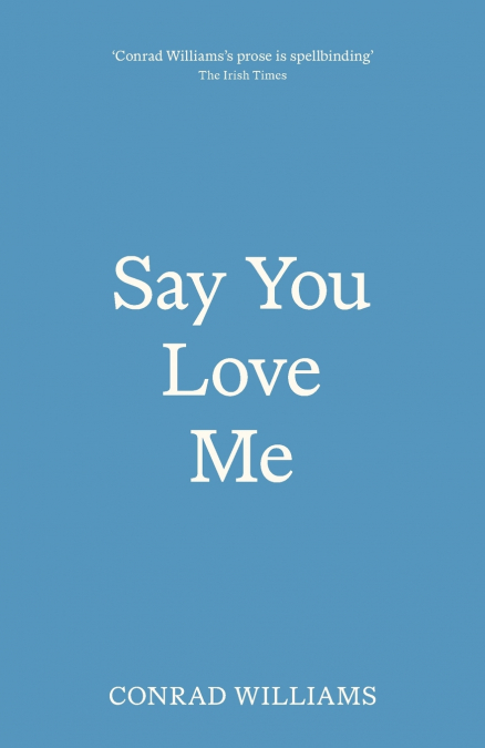 SAY YOU LOVE ME