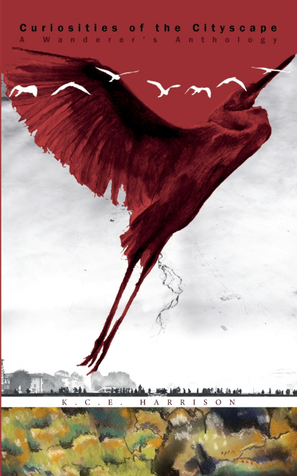 Curiosities of the Cityscape