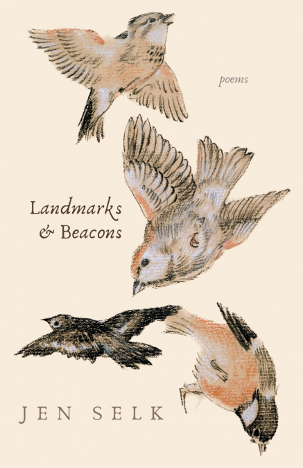 Landmarks and Beacons