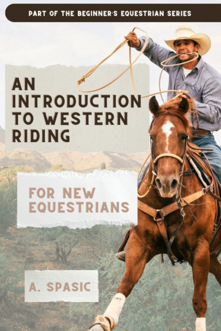 An Introduction to Western Riding for New Equestrians