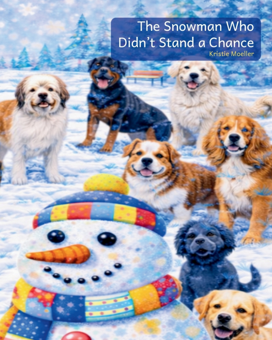 The Snowman Who Didn’t Stand a Chance