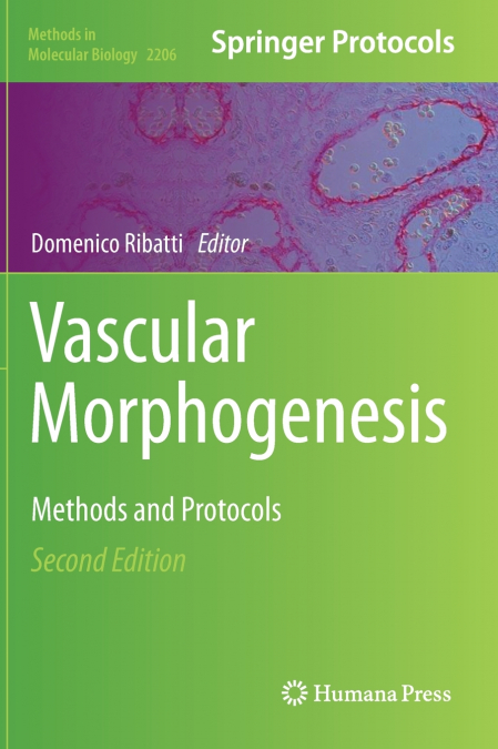 Vascular Morphogenesis