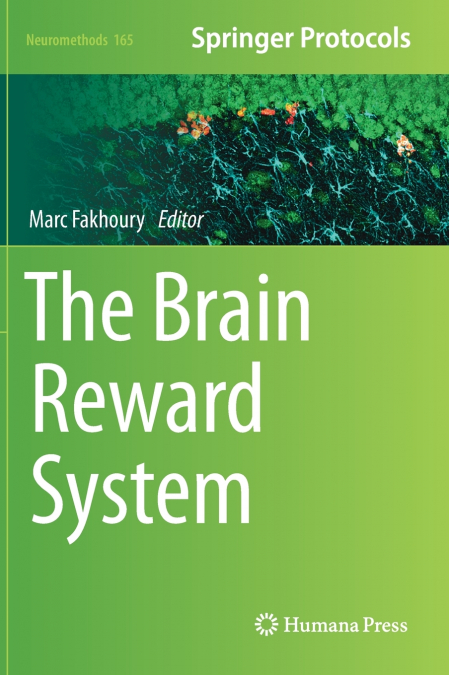 The Brain Reward System