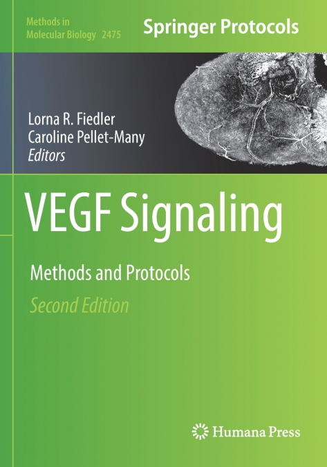 VEGF Signaling