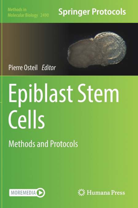 Epiblast Stem Cells
