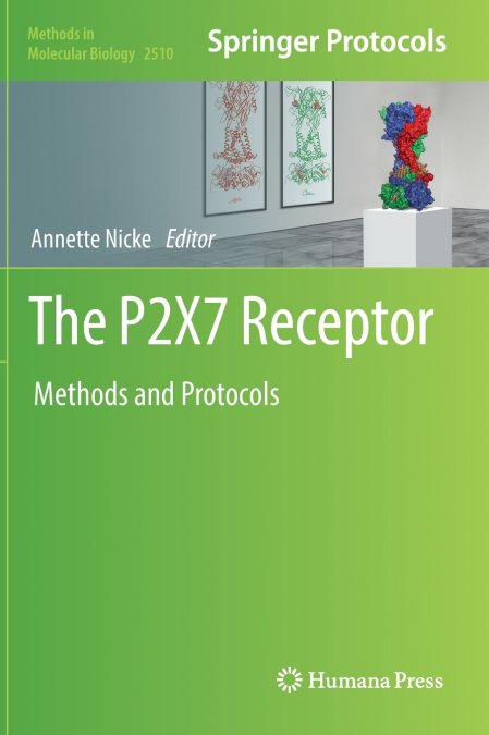 The P2X7 Receptor