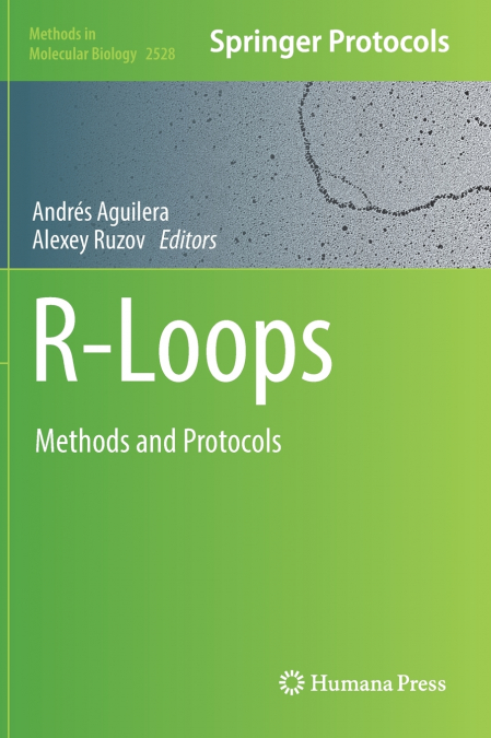 R-Loops