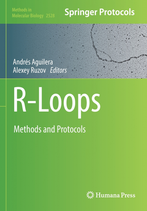 R-Loops