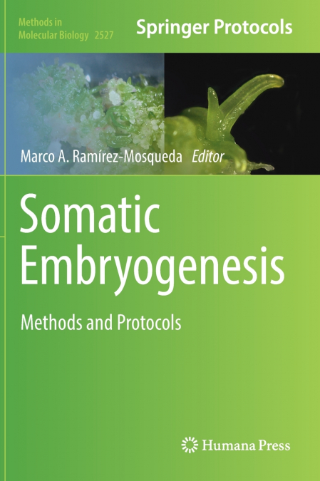 Somatic Embryogenesis