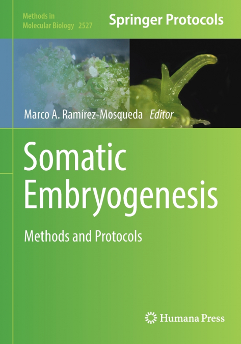 Somatic Embryogenesis