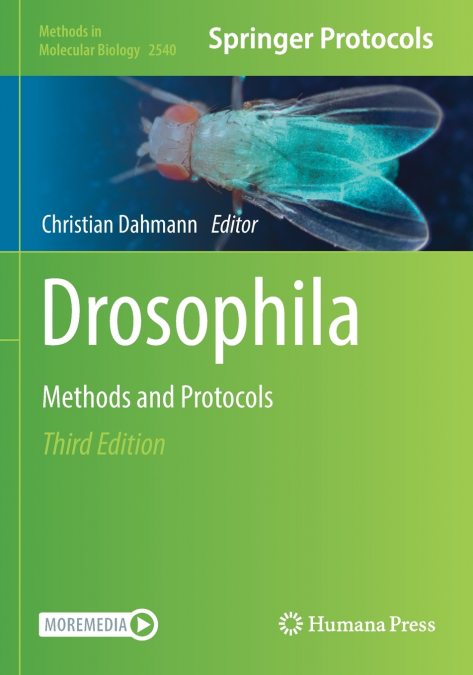Drosophila