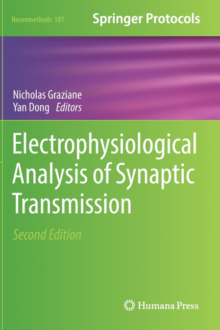 Electrophysiological Analysis of Synaptic Transmission