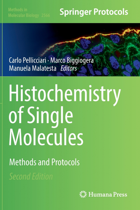 Histochemistry of Single Molecules