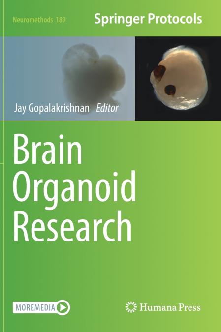 Brain Organoid Research