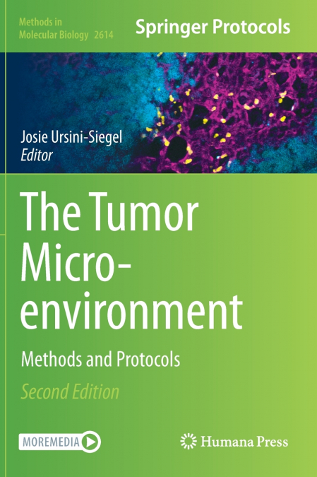 The Tumor Microenvironment