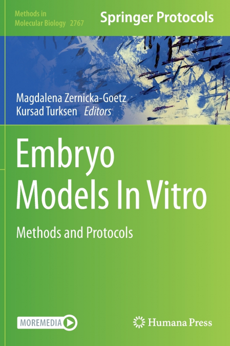 Embryo Models In Vitro