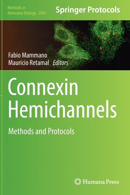 Connexin Hemichannels