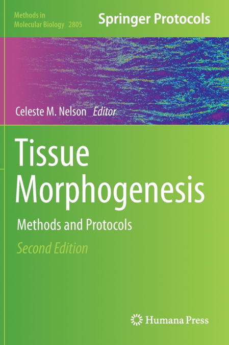 Tissue Morphogenesis