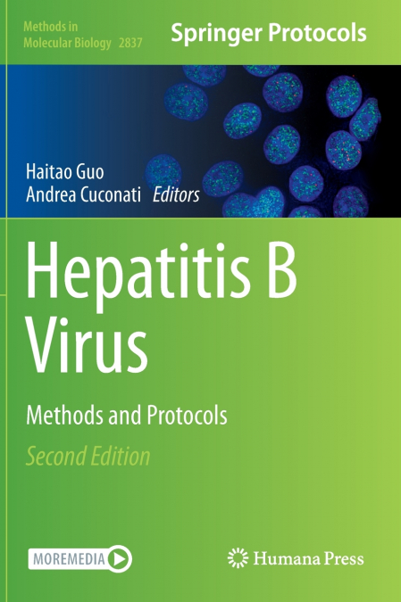 Hepatitis B Virus
