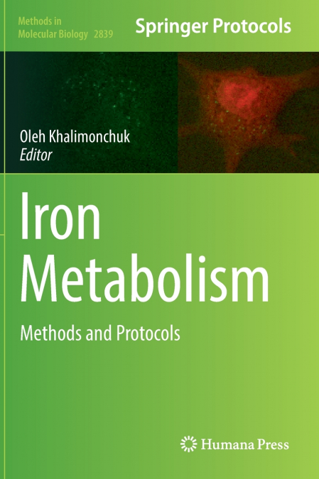 Iron Metabolism