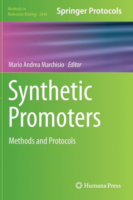 Synthetic Promoters