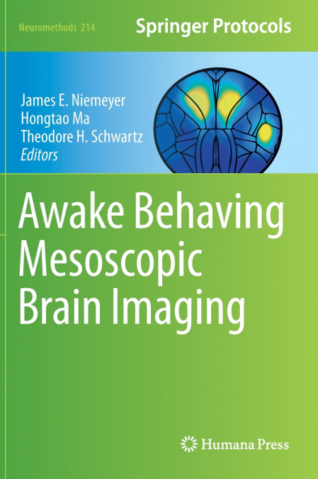 Awake Behaving Mesoscopic Brain Imaging